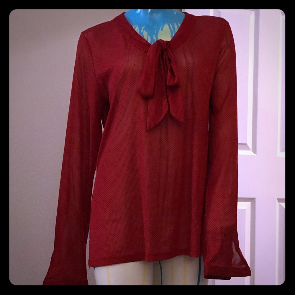 Sheer L/S Polka Dot Tie-Neck Blouse (EUC)